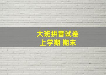 大班拼音试卷 上学期 期末